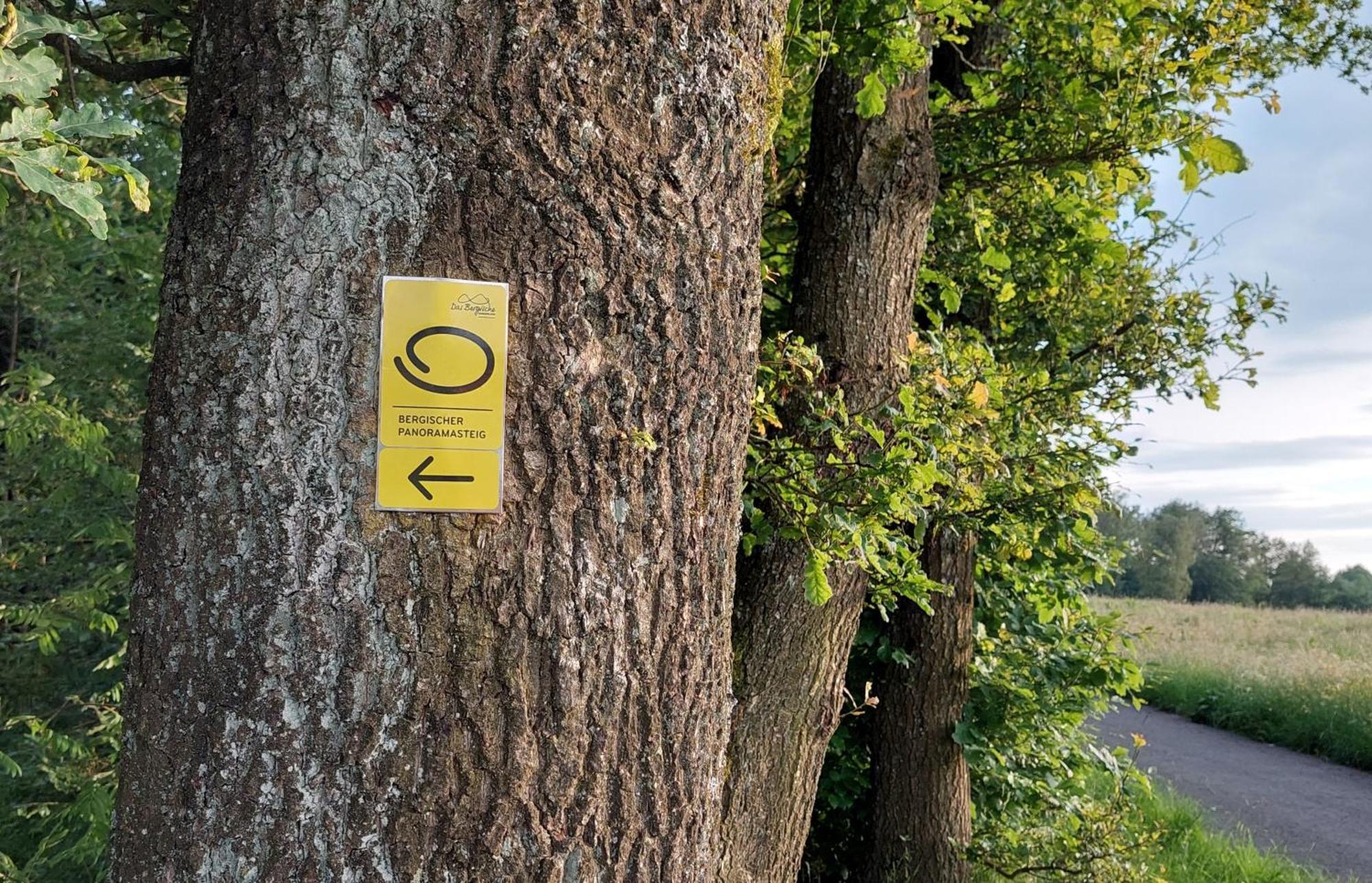 Ferienwohnung Waldbroel - Nahe Naturerlebnispark Валдбрьол Екстериор снимка
